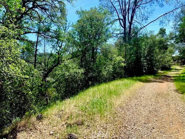 7268 Shasta, Nice, CA — listing photo 1