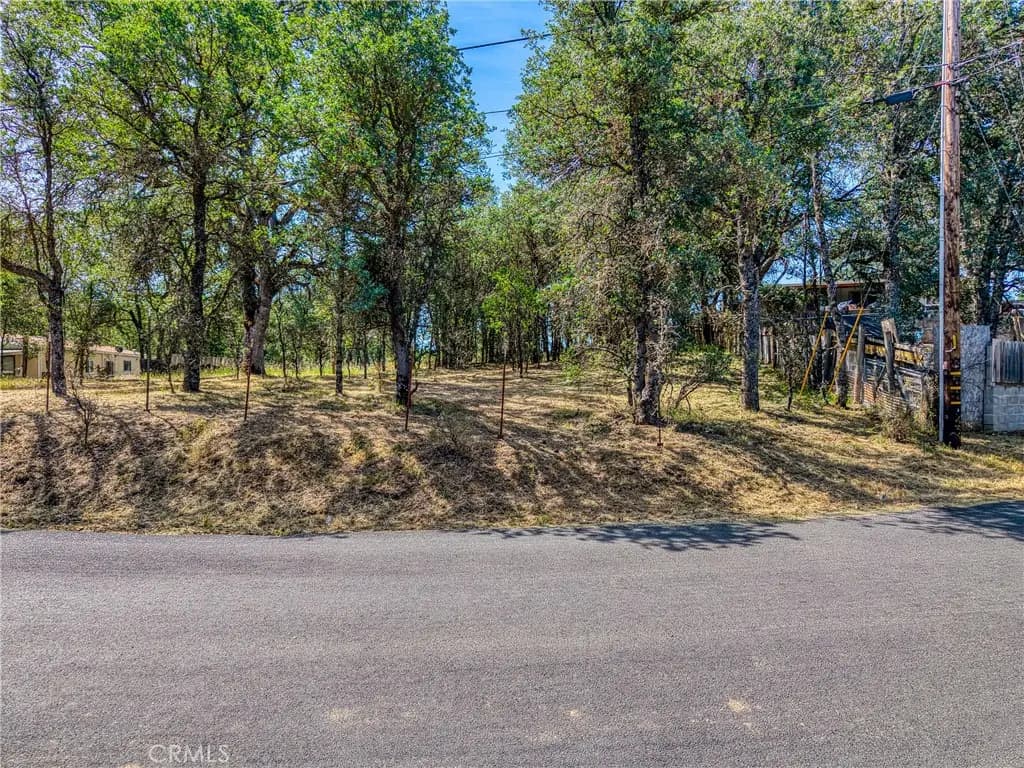 16793 Big Bear, Lower Lake, CA — listing photo 1