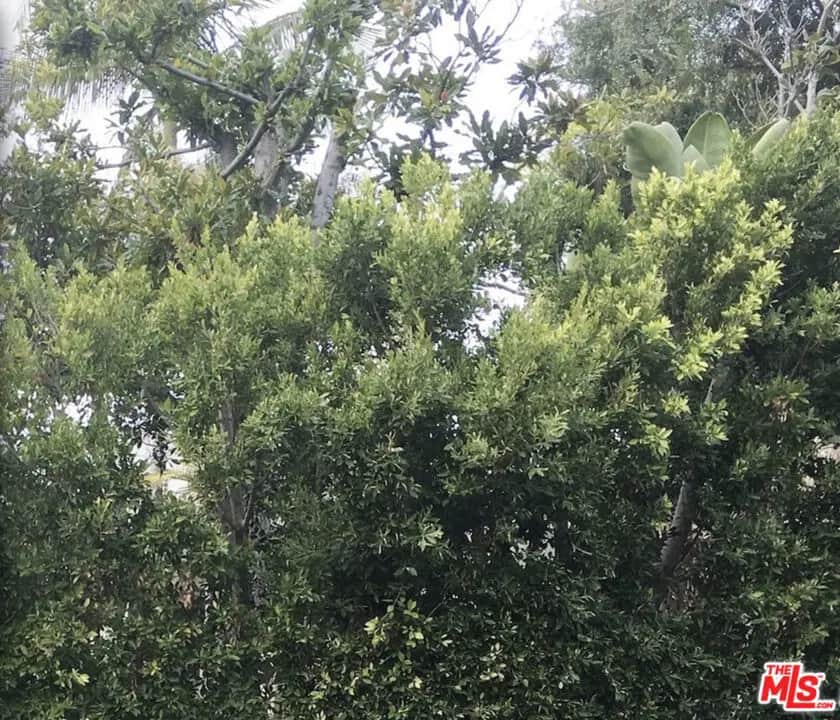 8835 Evanview Drive, Los Angeles, CA — listing photo 1