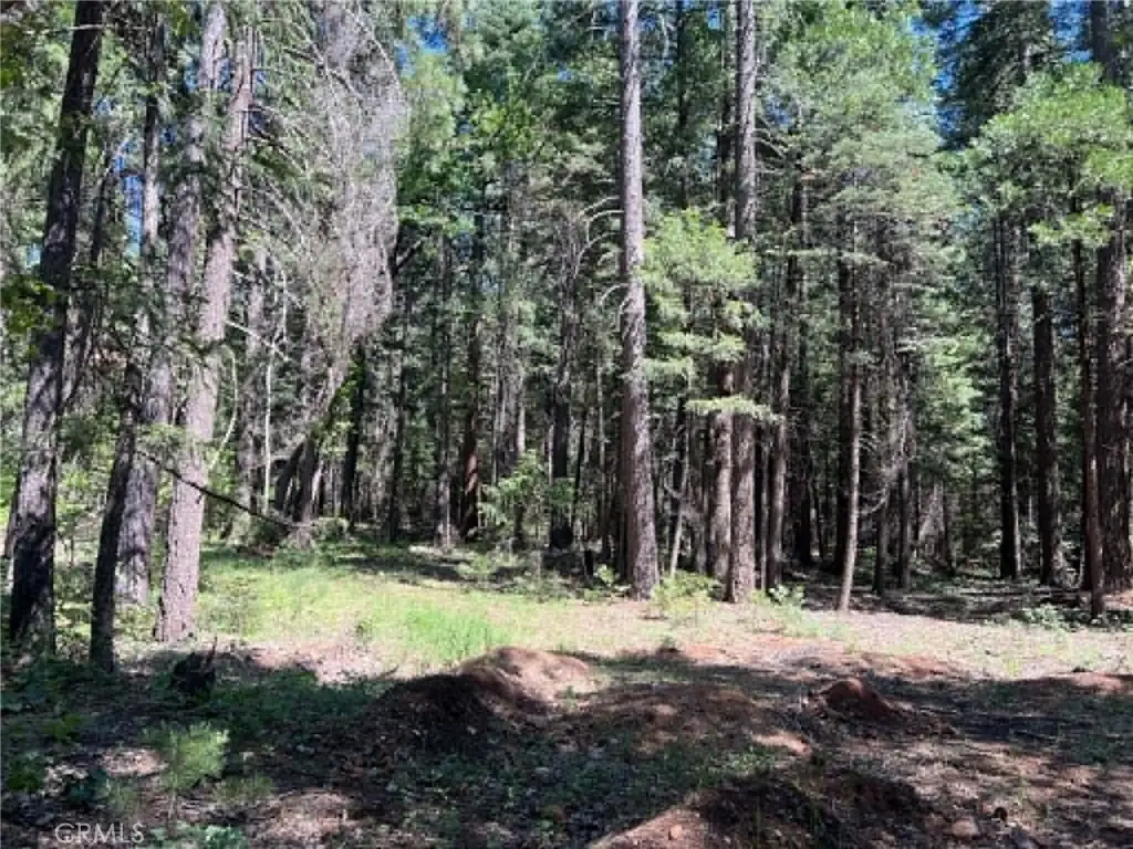 0 EASTWOOD WAY, Shingletown, CA — listing photo 1