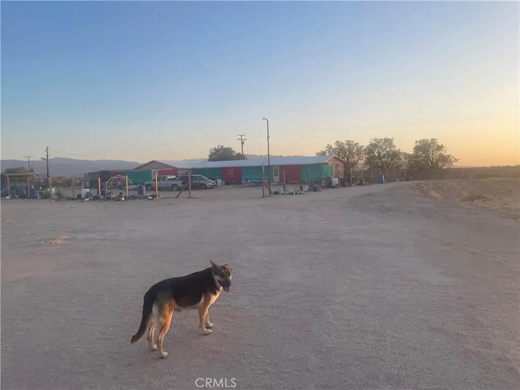 49645 Silver Valley Road, Newberry Springs, CA — listing photo 1