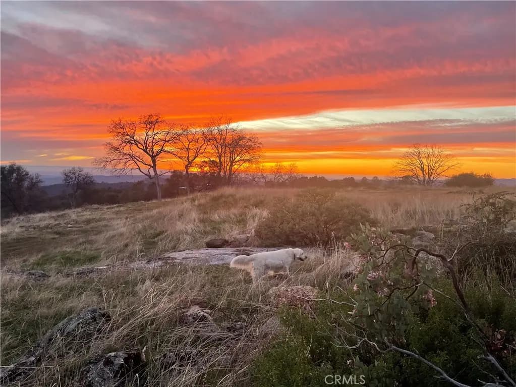 0 Buggy Whip Dr., Coarsegold, CA — listing photo 1