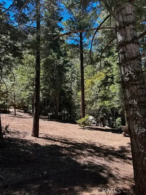 1221 Azalea Dr, Pine Mountain Club, CA — listing photo 1