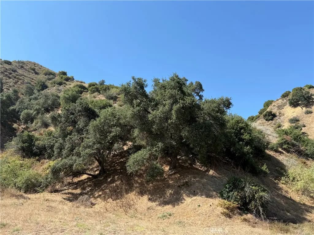 9040 La Tuna, Sun Valley, CA — listing photo 1