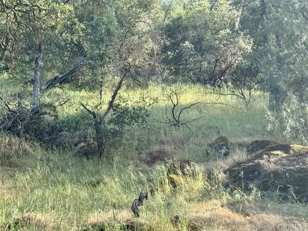 1 Road 400, Coarsegold, CA — listing photo 1