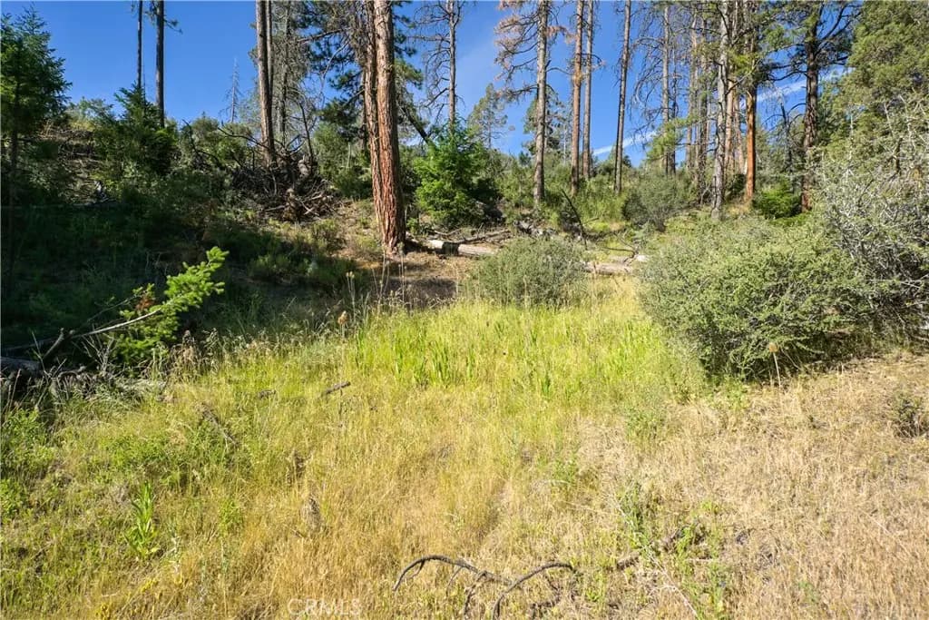 1 Duzel Creek Road, Fort Jones, CA — listing photo 1