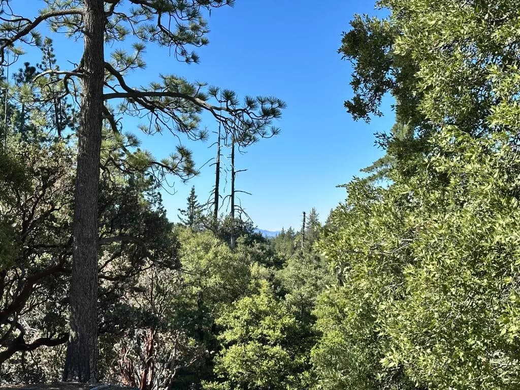 0 Mountain View Drive, Idyllwild, CA — listing photo 1