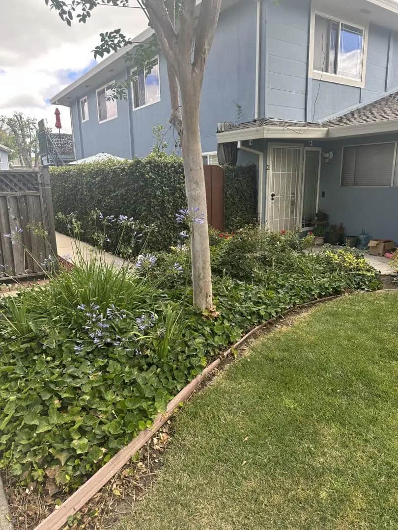 1263 Bouret Drive 2, San Jose, CA — listing photo 1