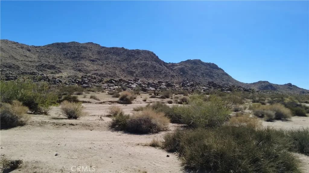 0 Campanula Street, Joshua Tree, CA — listing photo 1