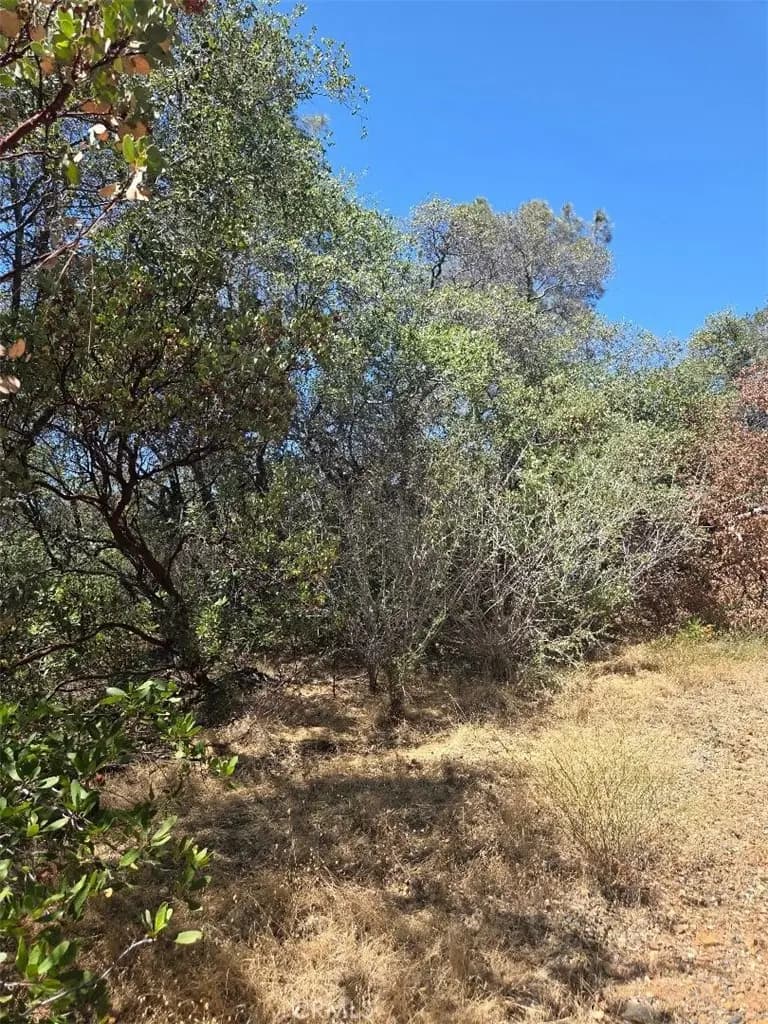 0 Roemelt Lane, Oroville, CA — listing photo 1