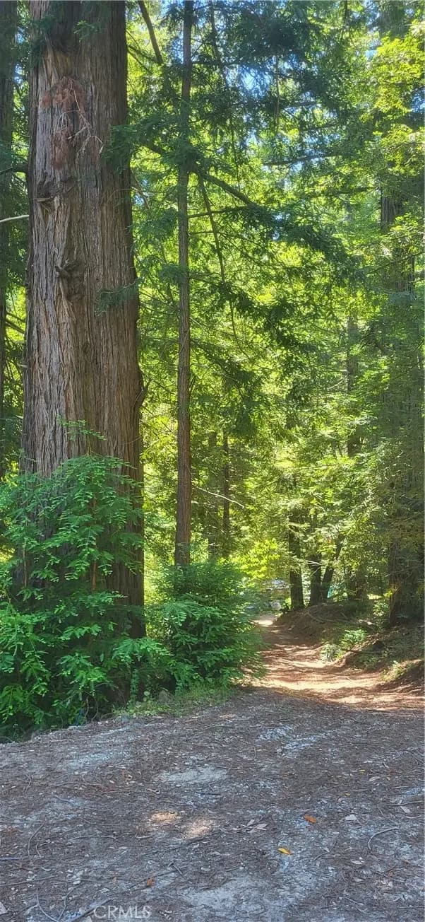 0 Palm Cutof, Boulder Creek, CA — listing photo 1