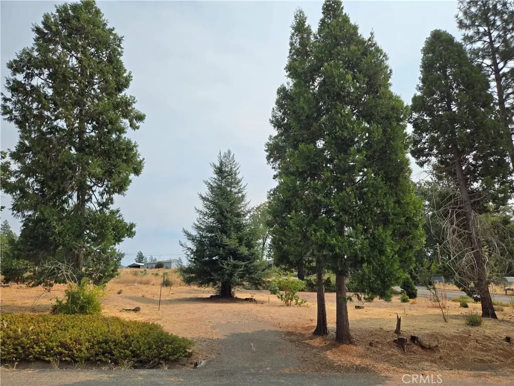 13549 S Park, Magalia, CA — listing photo 1