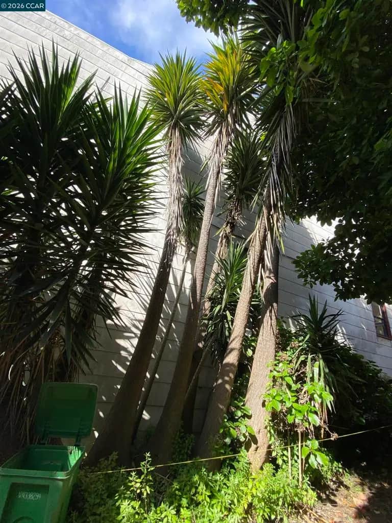 3529 Mission St, San Francisco, CA — listing photo 1