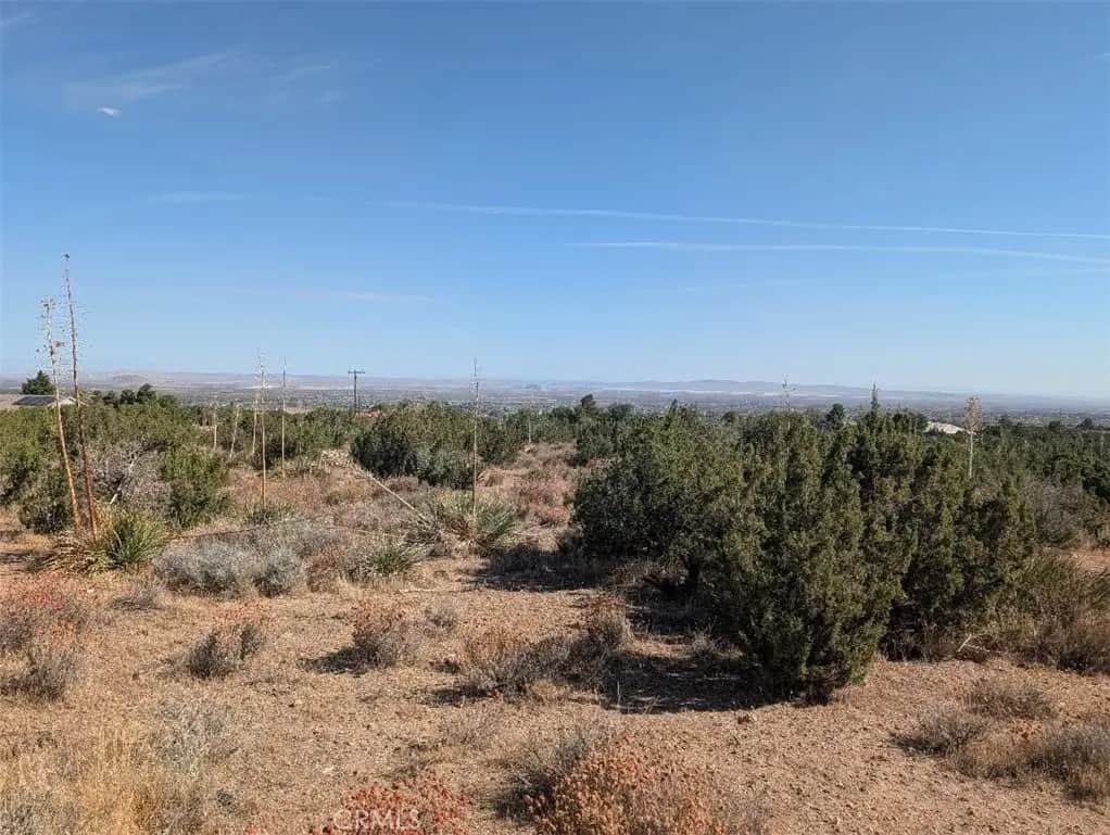 12 Tamarack, Pinon Hills, CA — listing photo 1