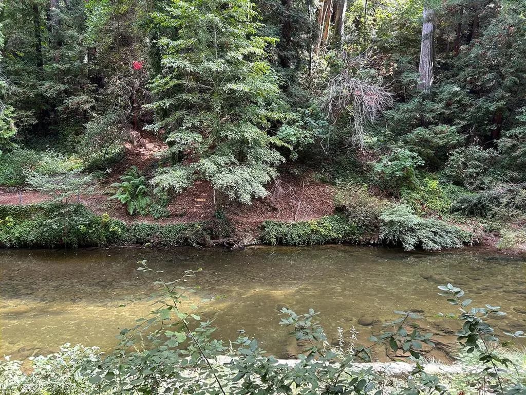 11085 Riverside Road, Brookdale, CA — listing photo 1