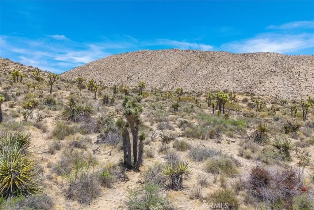 55652 Buena Vista Drive, Yucca Valley, CA — listing photo 1
