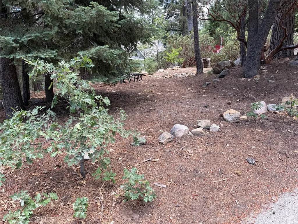6212 Oak Avenue, Angelus Oaks, CA — listing photo 1
