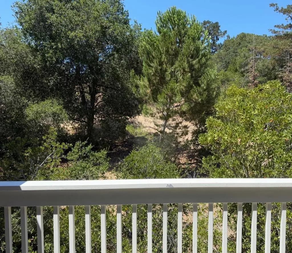 675 Sharon Park Drive 321, Menlo Park, CA — listing photo 1