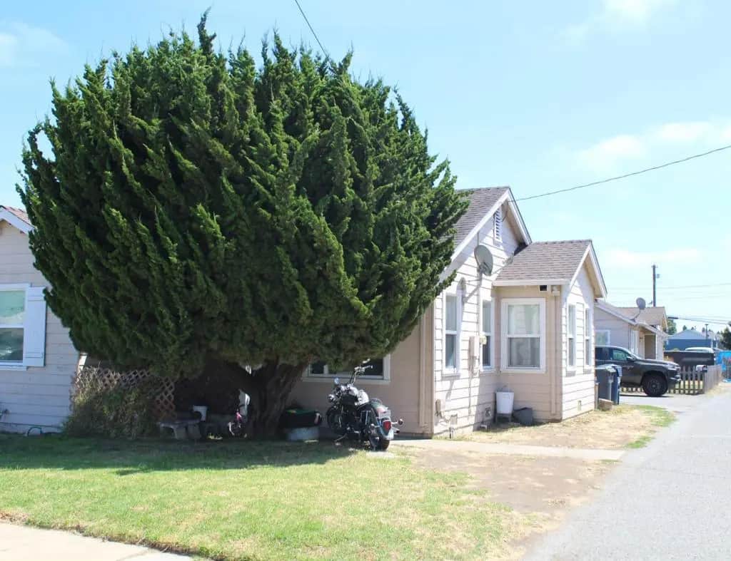 40 Tharp Avenue, Watsonville, CA — listing photo 1