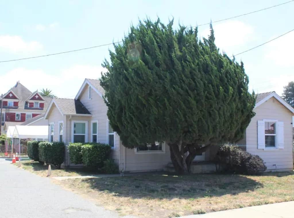 36 Tharp Avenue, Watsonville, CA — listing photo 1