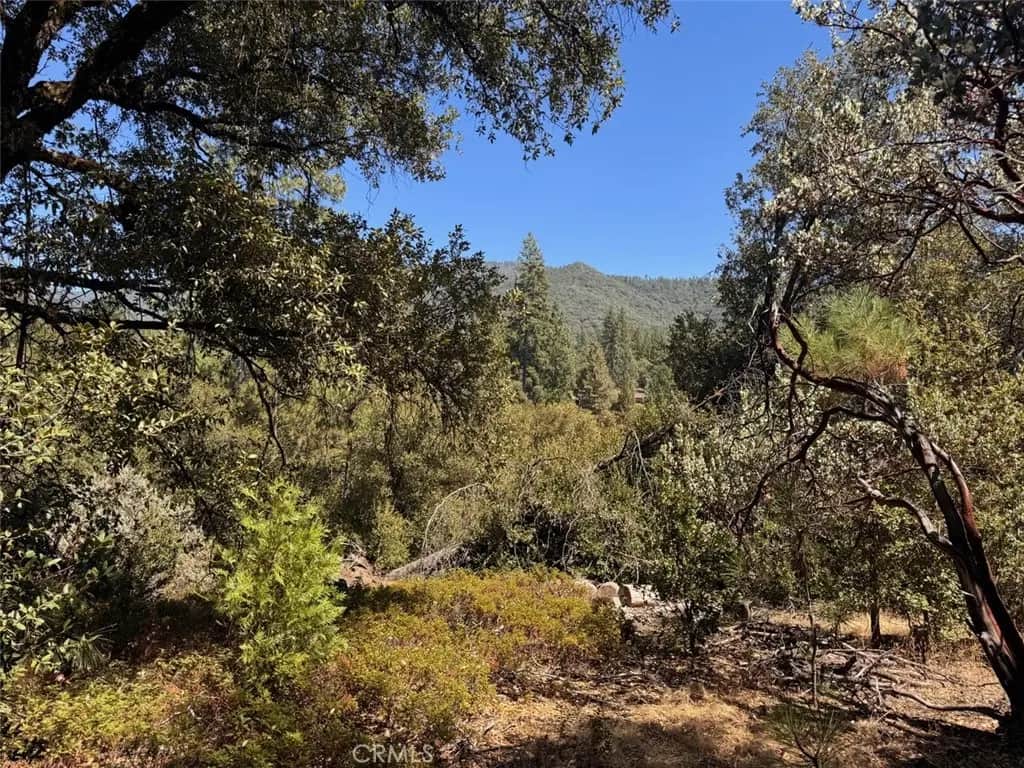 5605 Red Ibis Court, Mariposa, CA — listing photo 1