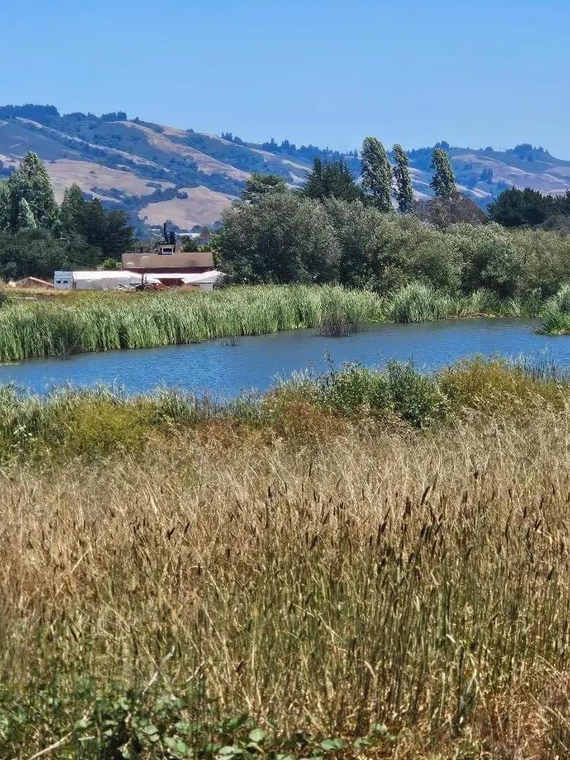 Address available on request, Watsonville, CA — listing photo 1