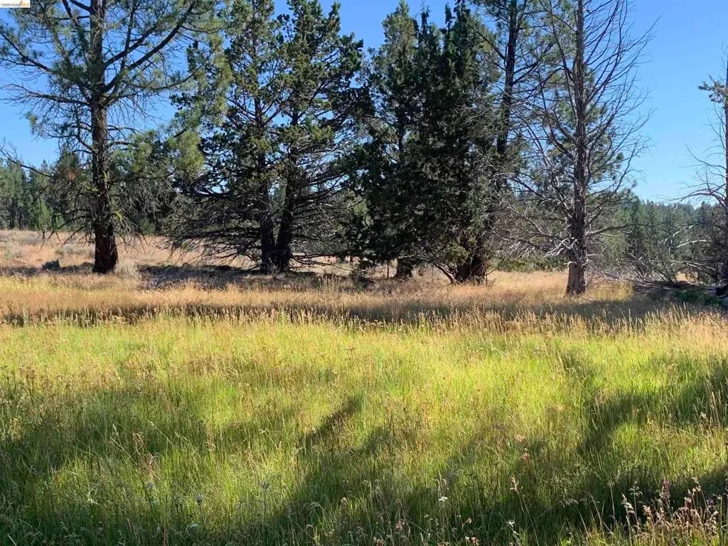 Address available on request, Susanville, CA — listing photo 1