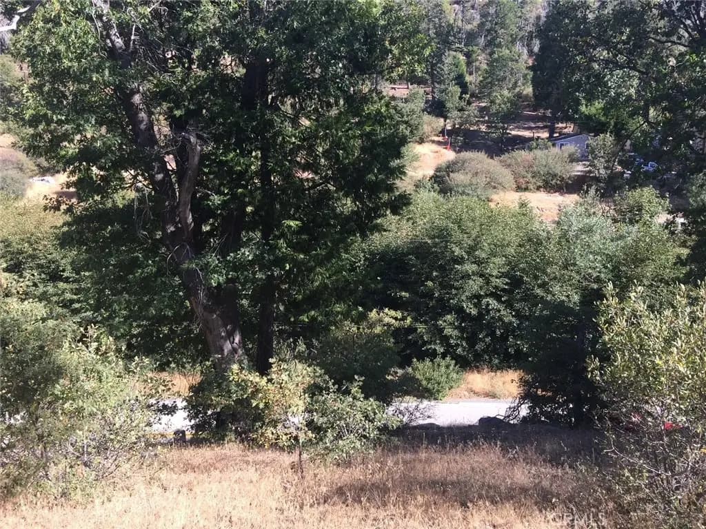 29749 Redwood, Cedar Glen, CA — listing photo 1