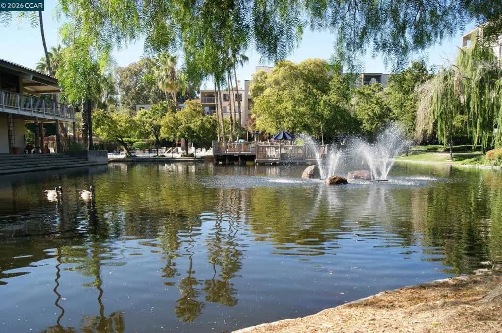320 N Civic Dr 205, Walnut Creek, CA — listing photo 1