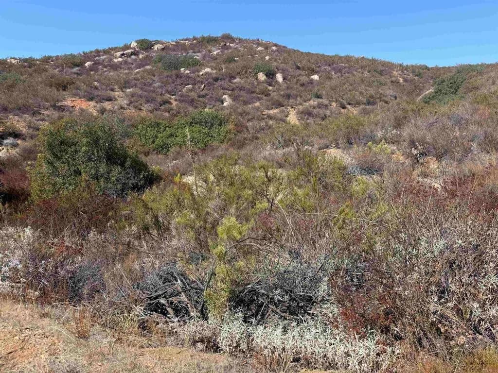 Lot 1 Japatul Rd, Alpine, CA — listing photo 1