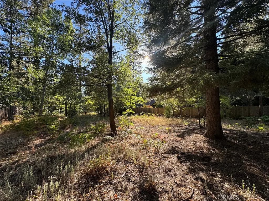 0 Fern Valley Road, Idyllwild, CA — listing photo 1