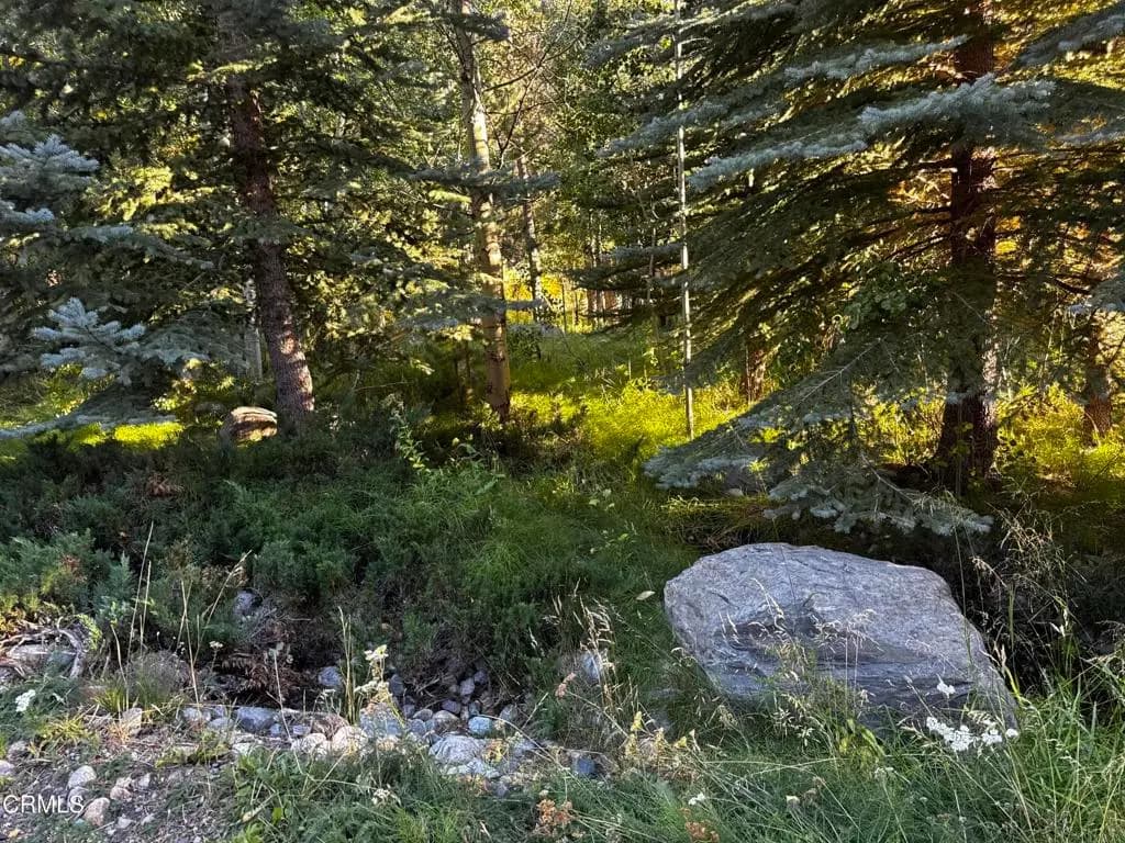 Lot 4 Minaret Road, June Lake, CA — listing photo 1