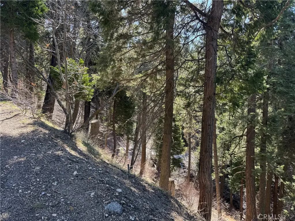 0 Sunderland Court, Lake Arrowhead, CA — listing photo 1