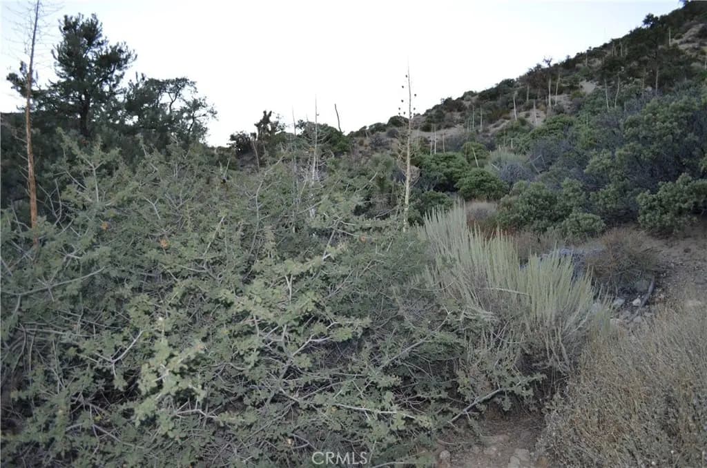 0 Verde, Pinon Hills, CA — listing photo 1