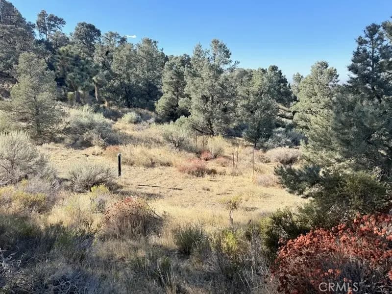 0 Homeridge Drive, Pinon Hills, CA — listing photo 1