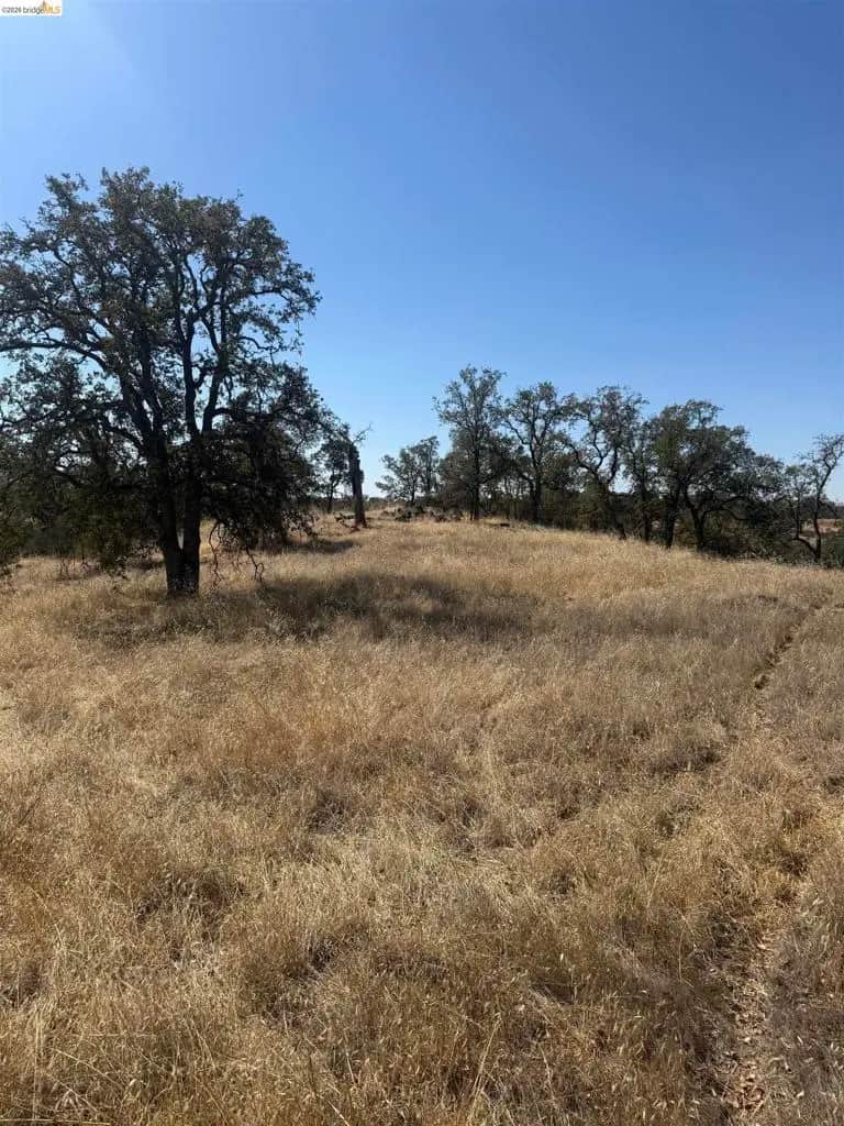 2088 Navarro, La Grange, CA — listing photo 1