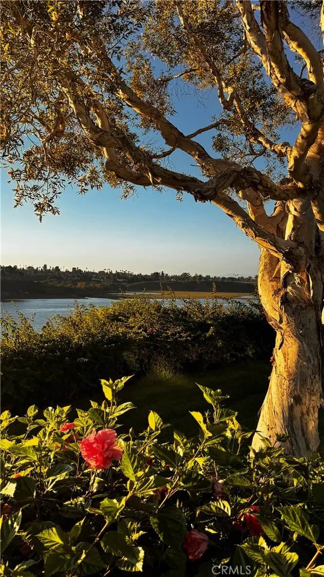 2025 Avenida Chico, Newport Beach, CA — listing photo 1