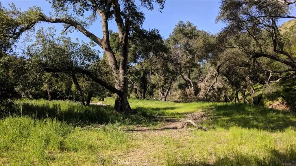 30221 Old Stage Road, Trabuco Canyon, CA — listing photo 1