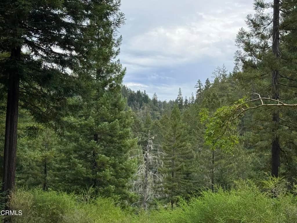10611 Hungry Hollow Road, Philo, CA — listing photo 1