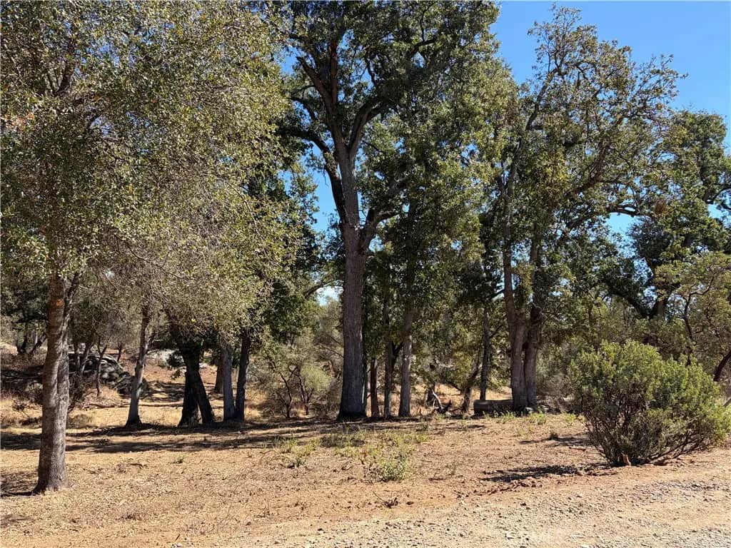0 Morningstar Lane, Mariposa, CA — listing photo 1