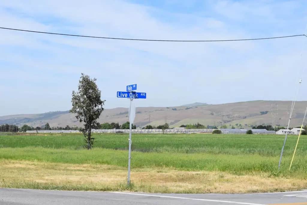 0 Live Oak Avenue, Morgan Hill, CA — listing photo 1