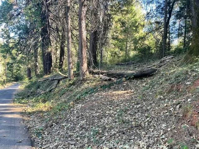 0 Old Forbestown Road, Forbestown, CA — listing photo 1