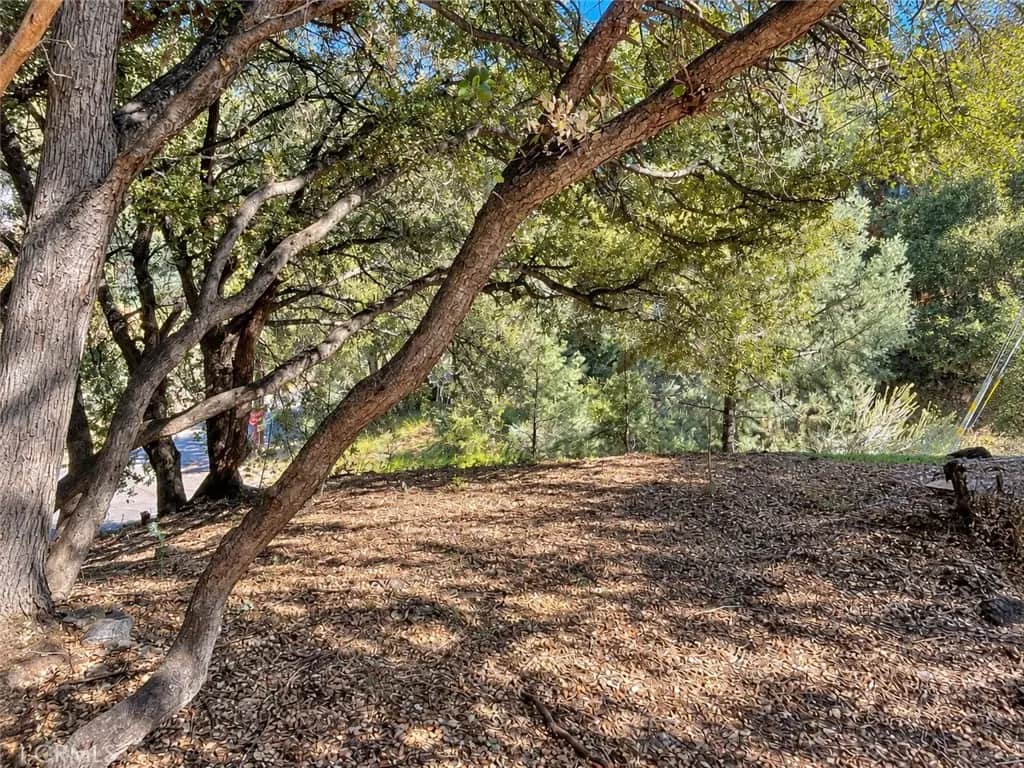 2117 Alder Court, Pine Mountain Club, CA — listing photo 1