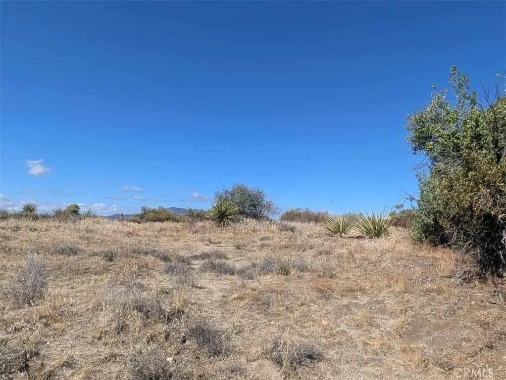 0 Old Forest Road, Anza, CA — listing photo 1