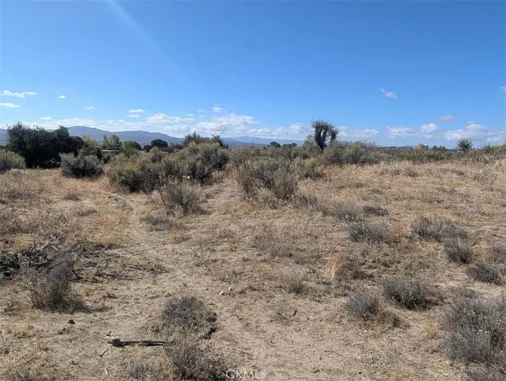 0 Lanik Lane, Anza, CA — listing photo 1