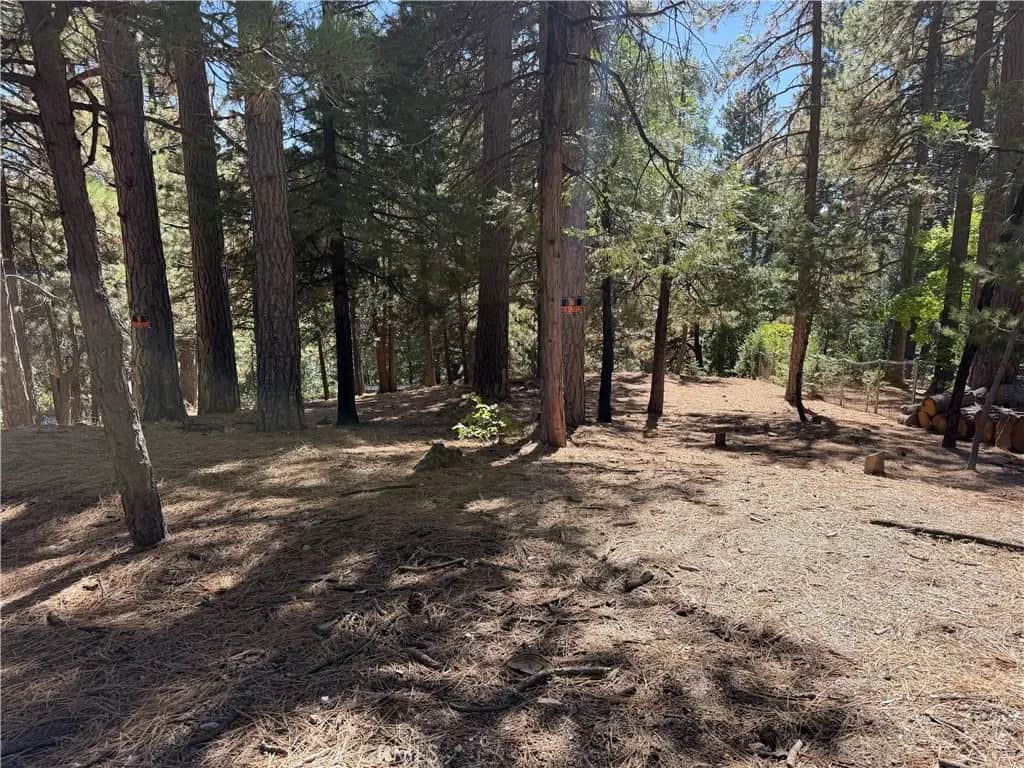 31307 Circle View, Running Springs, CA — listing photo 1
