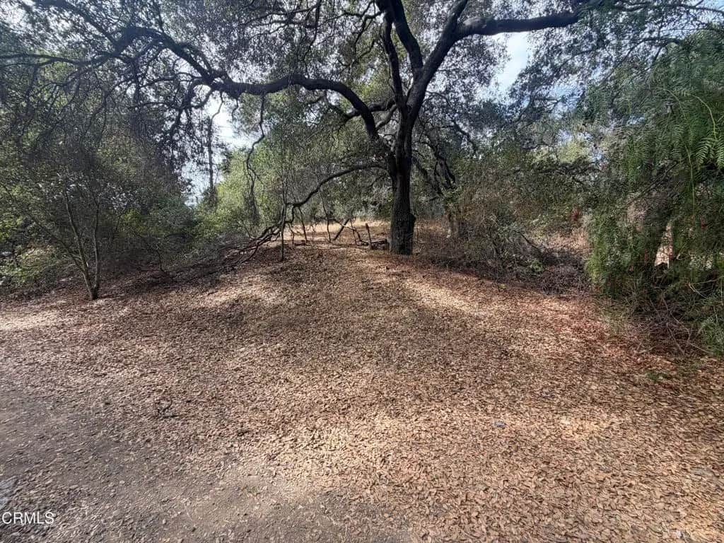 0 APN #0310070240, Oak View, CA — listing photo 1