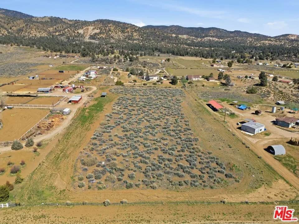 0 Mt. Lilac Trail, Frazier Park, CA — listing photo 1