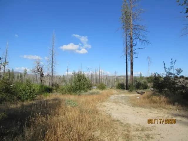 95 Shane Court, Berry Creek, CA — listing photo 1