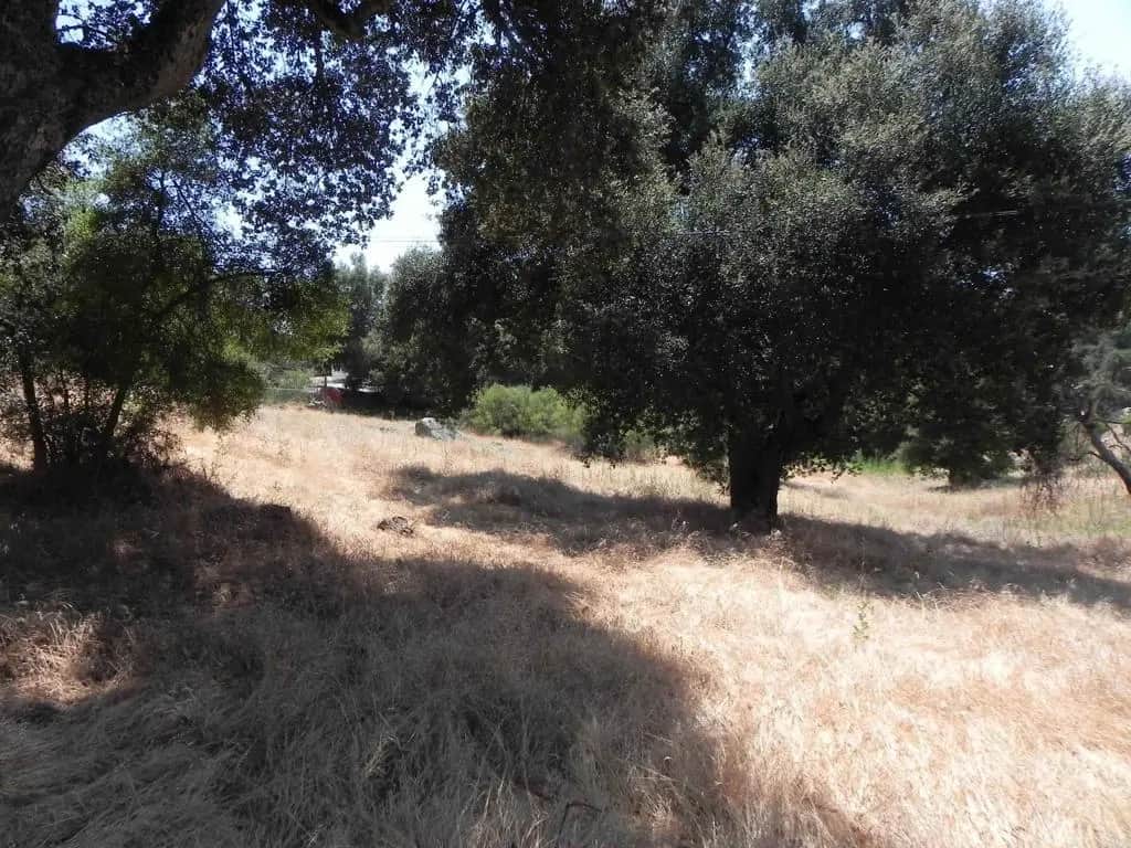 0 Arrowhead Lane, Descanso, CA — listing photo 1